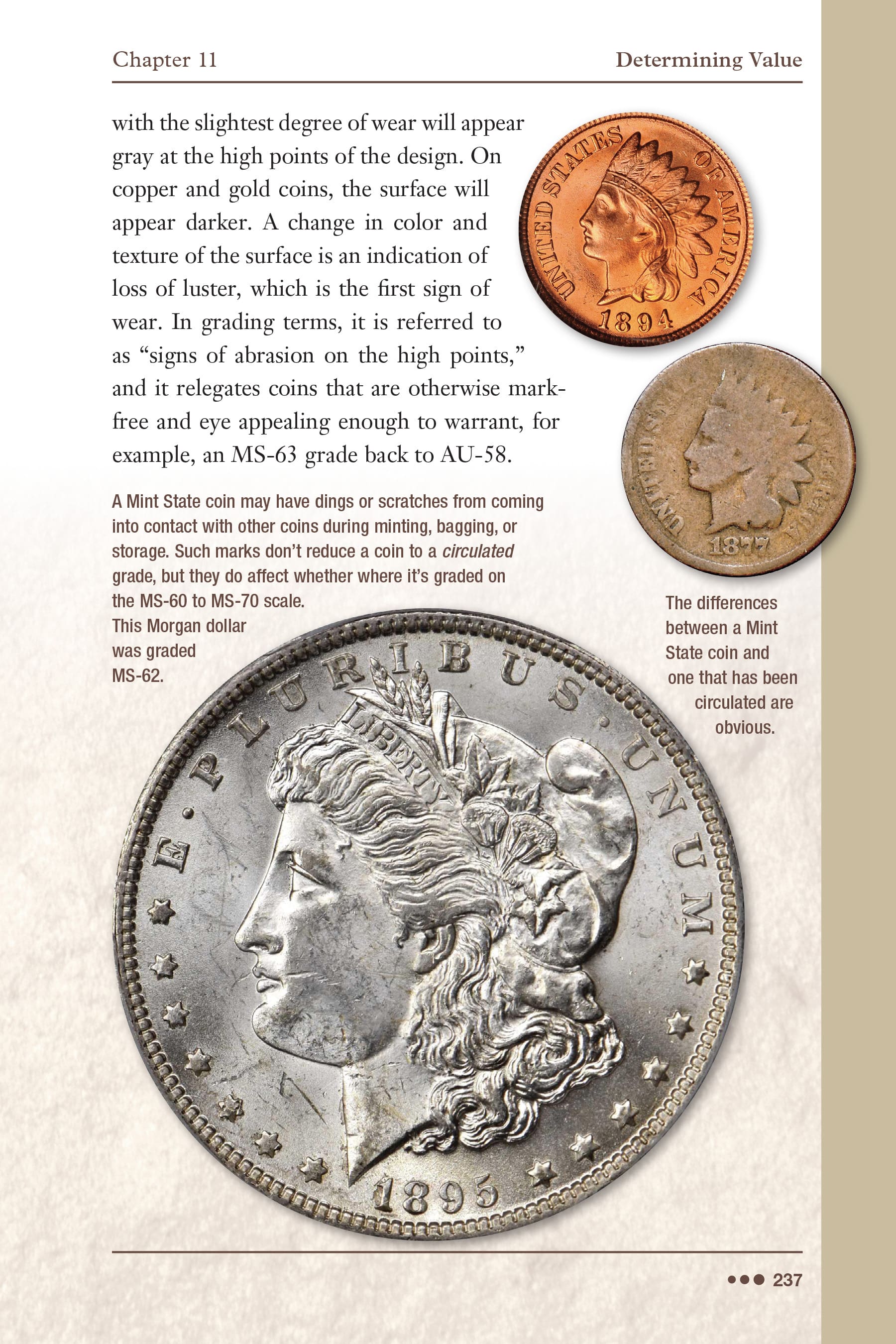 Collector Series: Cash in Your Coins – Selling the Rare Coins You’ve Inherited