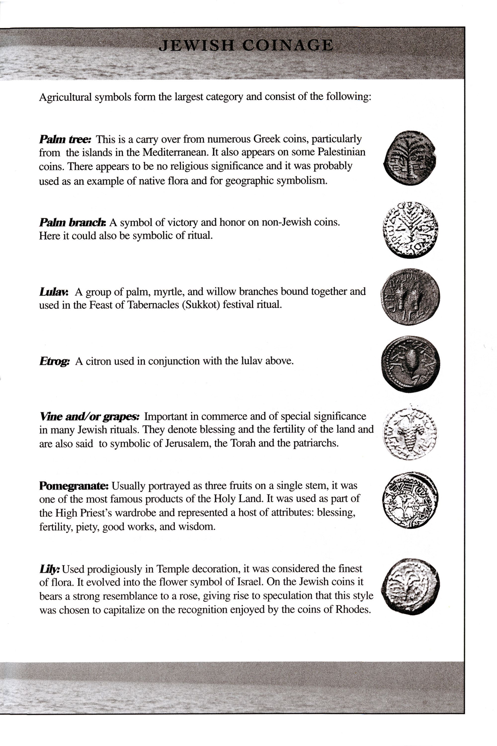 Coins of the Bible