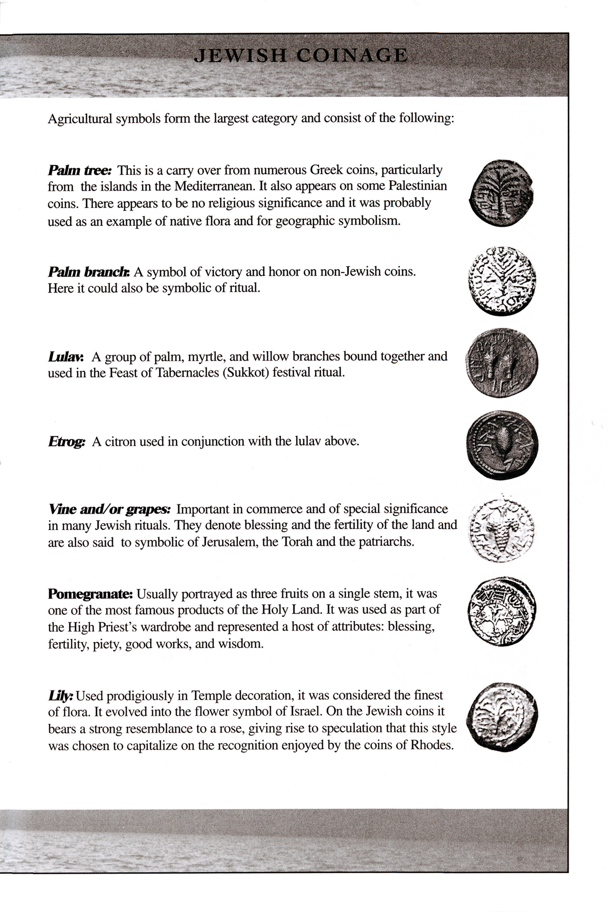 Coins of the Bible