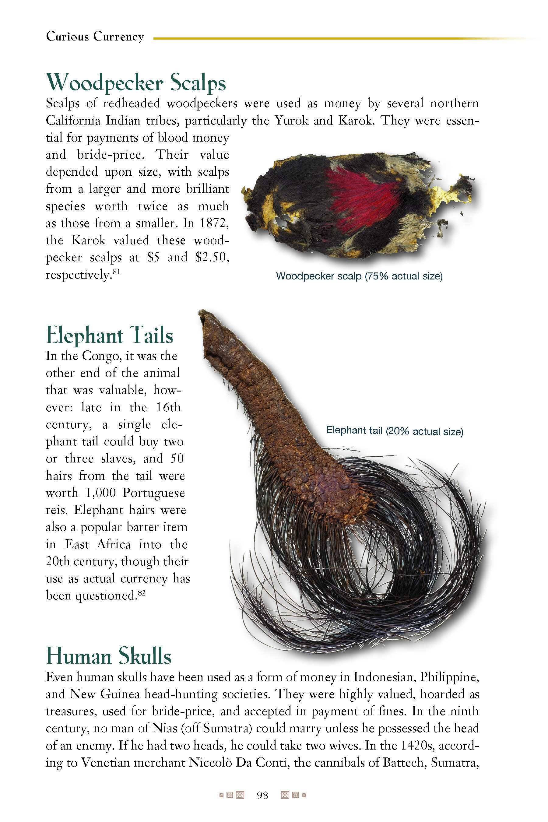 Collector Series: Curious Currency – The Story of Money from the Stone Age to the Internet Age